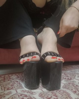 Mistreas daria
 #97865986