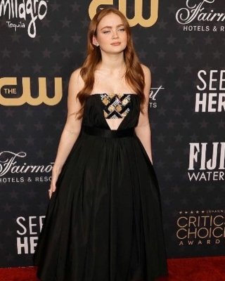 Sadie Sink nude #108009197