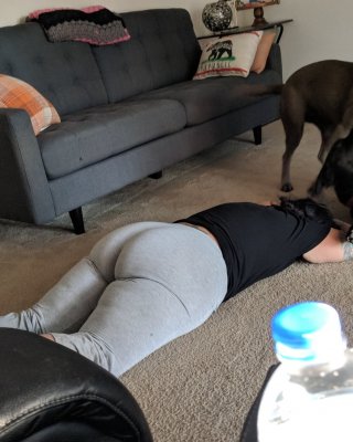 Gilf Pawg
 #105825760