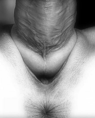 Pure Lust in schwarz und weiß
 #79765820