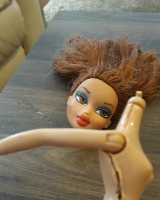 彼女の心を作るものを参照してくださいにブラッツを分解する
 #104579652