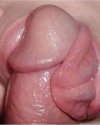 Tongue (still)