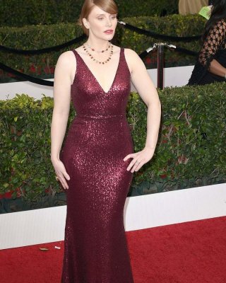 Bryce Dallas Howard nackt #108207700