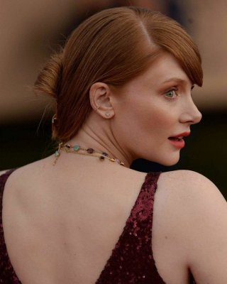 Bryce Dallas Howard nackt #108207702