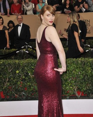 Bryce Dallas Howard nackt #108207705