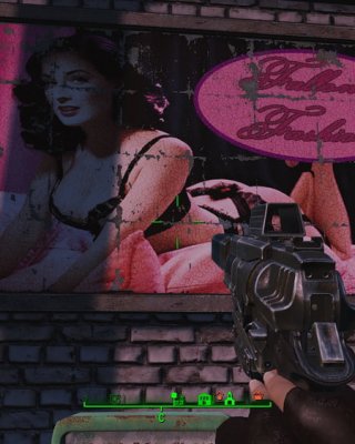 Erotic Posters (Fallout 4)