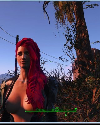 Erotic Posters (Fallout 4)