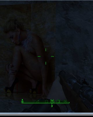 Erotic Posters (Fallout 4)