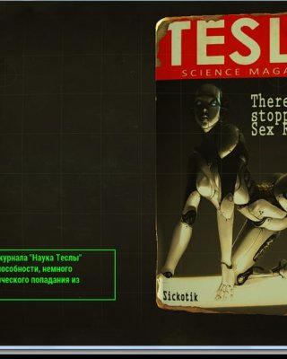 Erotic Posters (Fallout 4)