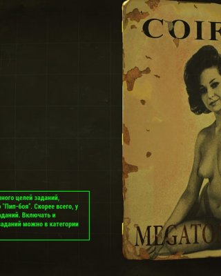 Erotic Posters (Fallout 4)