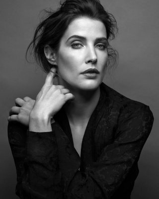 Lockdown Ablenkung - cobie smulders
 #96474044