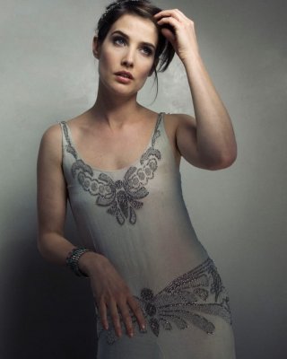 Lockdown Ablenkung - cobie smulders
 #96474097