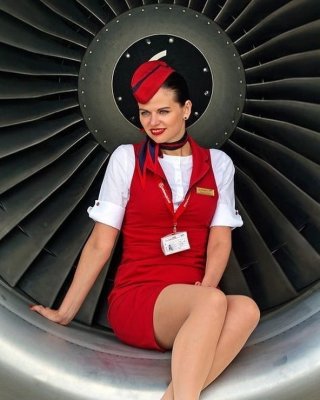 Air Hosstess - Flight Attendant - Cabin Crew - Stewardess