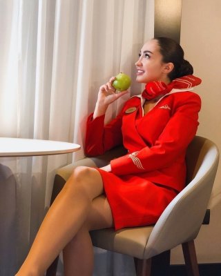 Air Hosstess - Flight Attendant - Cabin Crew - Stewardess