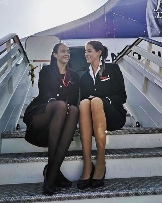 Air Hosstess - Flight Attendant - Cabin Crew - Stewardess