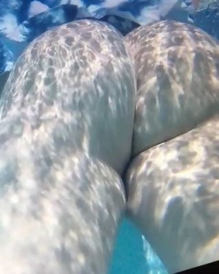 underwater Ass