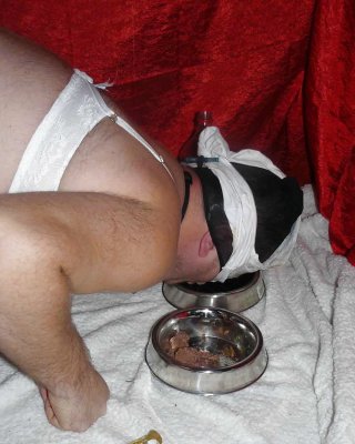 sissy-doggie Eat Dogfood For Mistress Celine