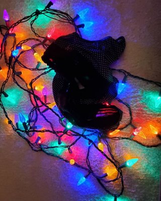 Sexy Milf&#039;s Holiday Lights Show