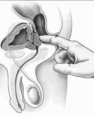 gifs animes animed insertions holes paul #107336581