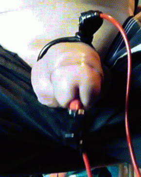 gifs animes animed insertions holes paul #107336668