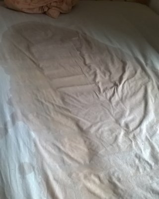 Pissy Blätter
 #81099405