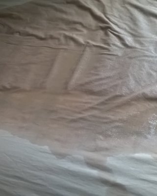 Pissy Blätter
 #81099408
