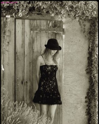 Malvina
 #103078985