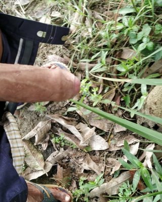 Indian Supper Big Lund #106892036