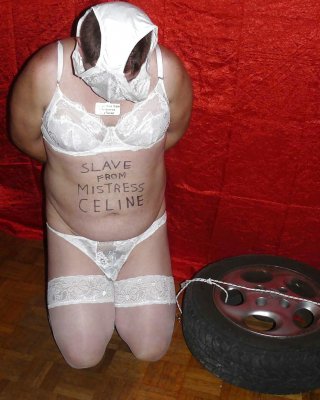 cbt Wheels For Mistress Celine