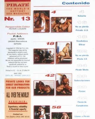 Piraten-Magazin 13
 #87135025