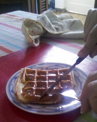 Cum on food! Waffle with milk caramel &amp; cum (from 2012) #106917788